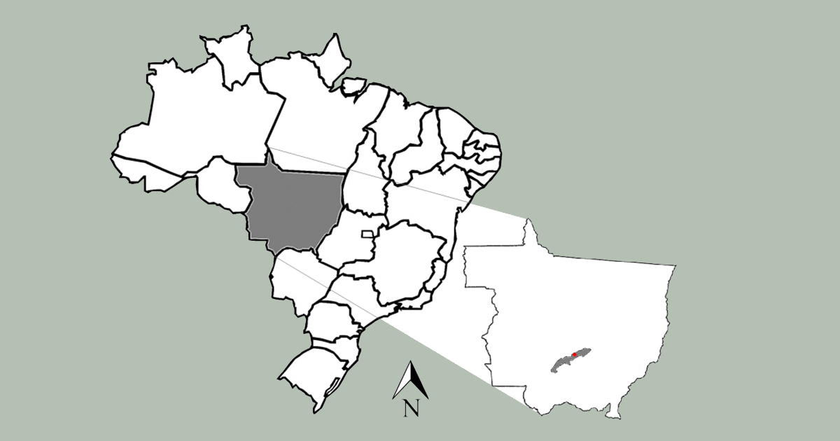 Imagem: mapa destacando o Estado do Mato grosso e o município de Rosário. Em vermelho, o ponto onde se encontra a área de estudo – Foto: Imagem extraída da tese do pesquisador