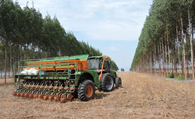plantio da soja em ilpf em mato grosso plantio da soja em ilpf em mato grosso