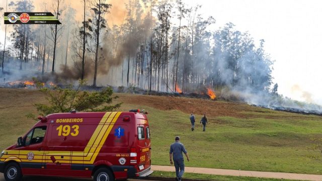 Incêndio em mata de Piracicaba após queda de avião no bairro Santa Rosa — Foto: Corpo de Bombeiros de SP