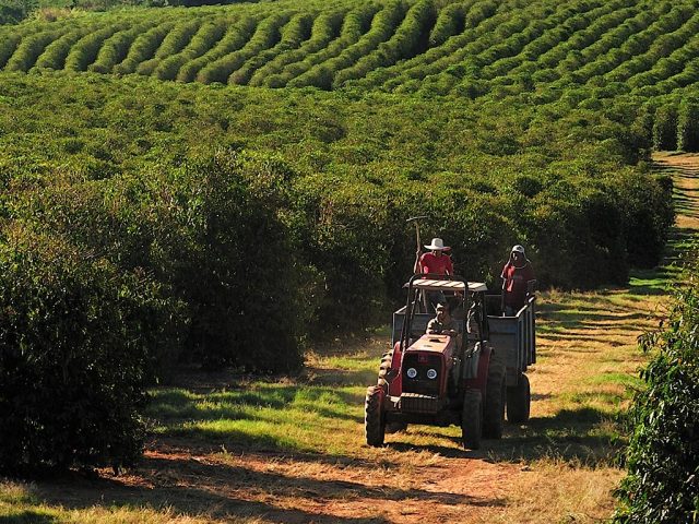 LAVOURACAFÉ