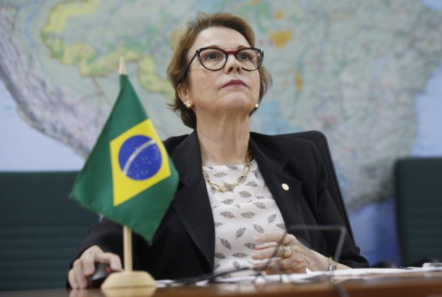terezacristina