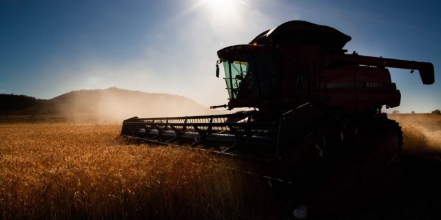 agricultura