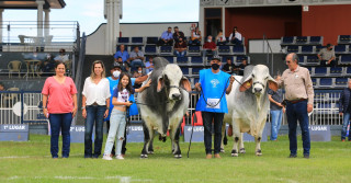 Casa Branca Agropastoril conquistou mais um Grande Campeonato na ExpoBrahman