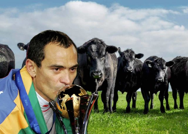 Fazenda de Clemer Silva