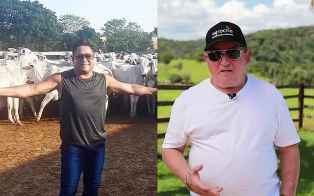 Fazendas dos Famosos