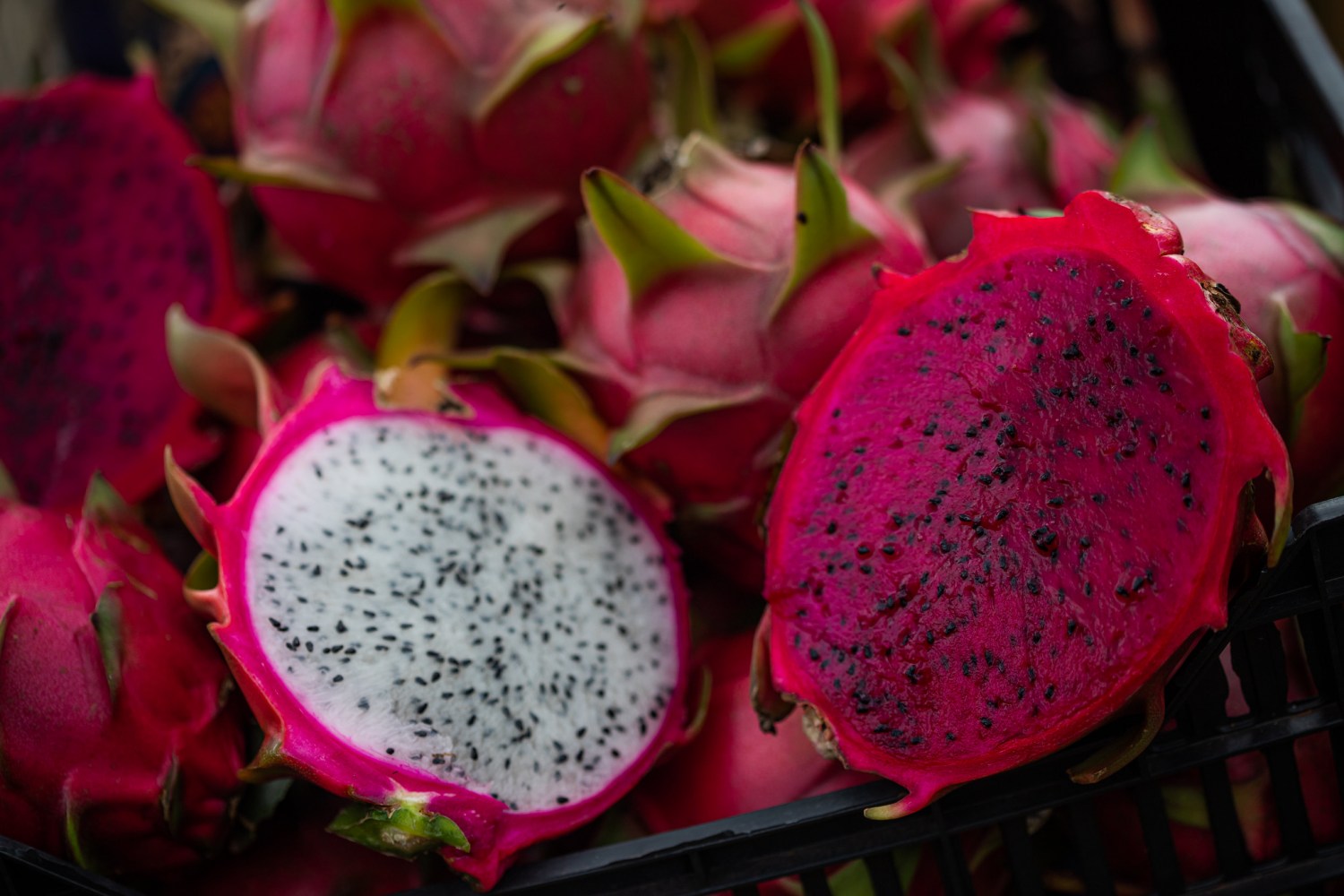 Fruta dragão mais conhecida como Pitaia