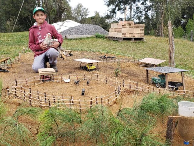 infancia-no-interior-mini-fazenda-emanuel-ponte-alta