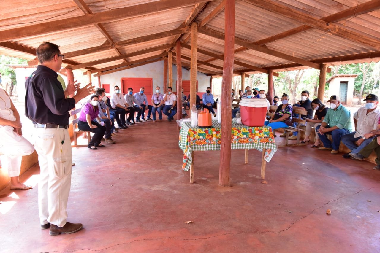 Preventivamente, a Enel propôs a poda das plantas para minimizar os riscos de interrupção do serviço e até mesmo de acidentes envolvendo a rede (Fotos: Enel Goiás)