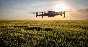 Tecnologia no campo. Drone em plantação de trigo