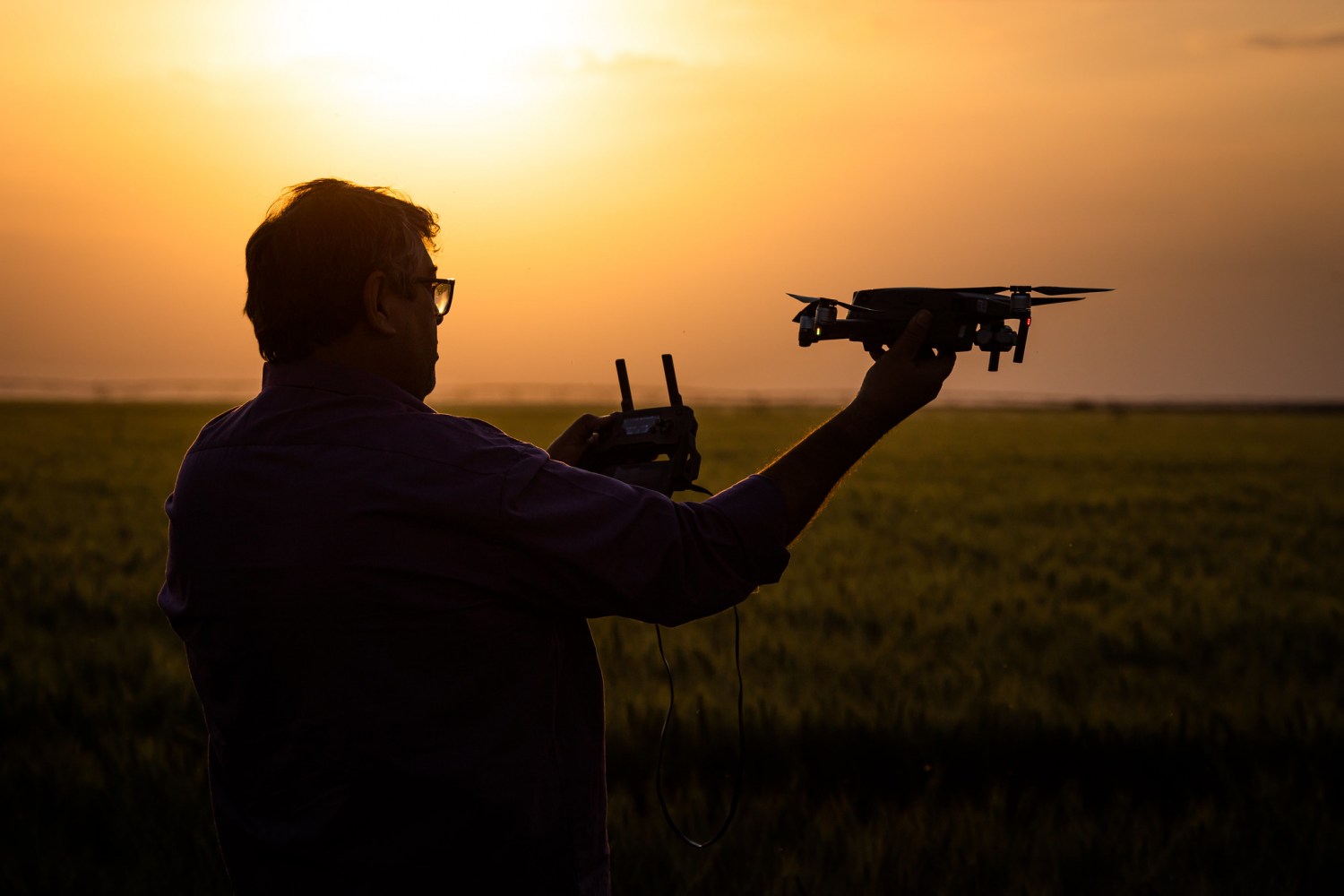 Tecnologia no campo. Drone em plantação de trigo