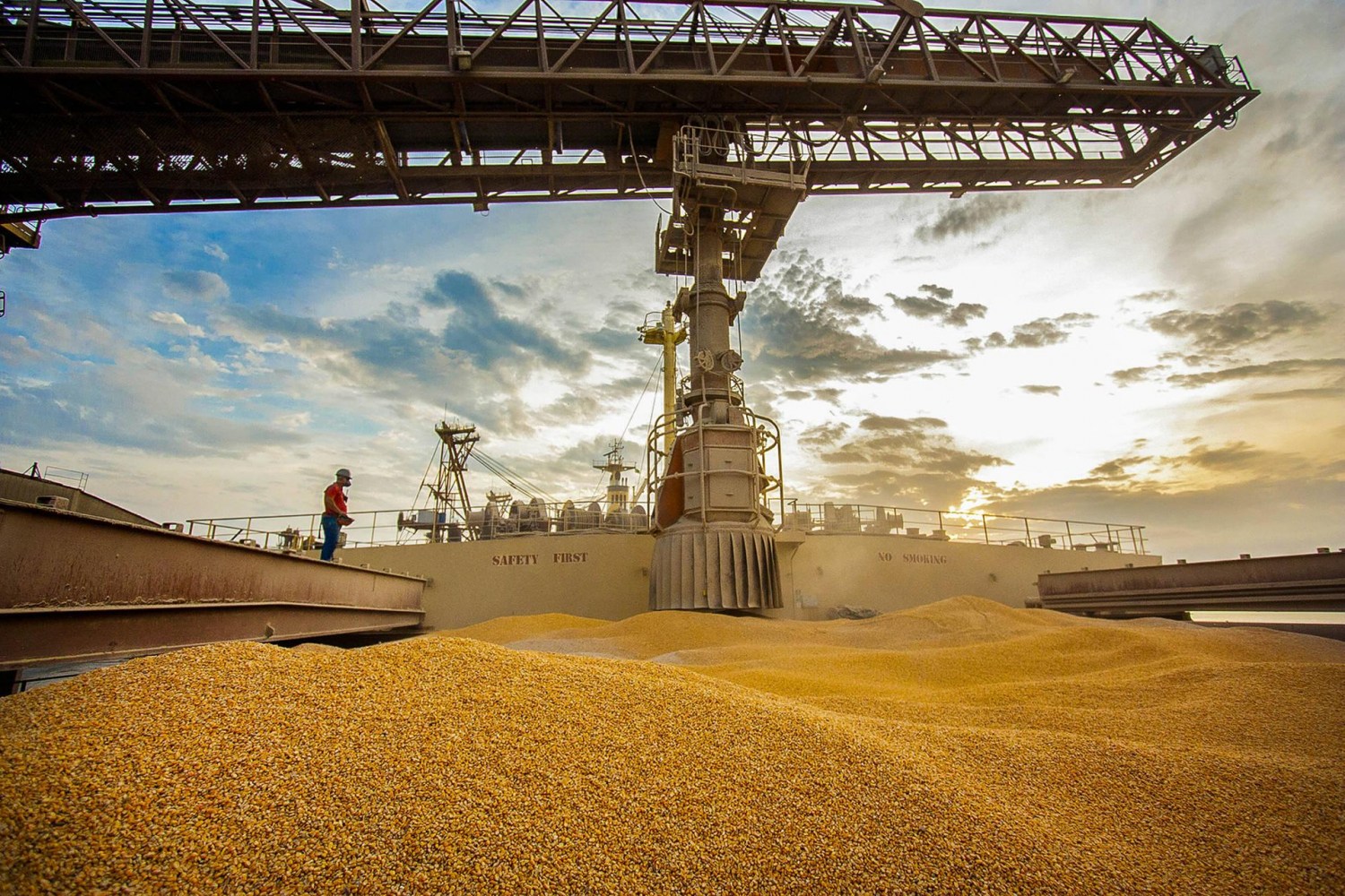 Milho/Imea: consumo em MT deve superar exportações em 2026/27, a 27,09 mi de t