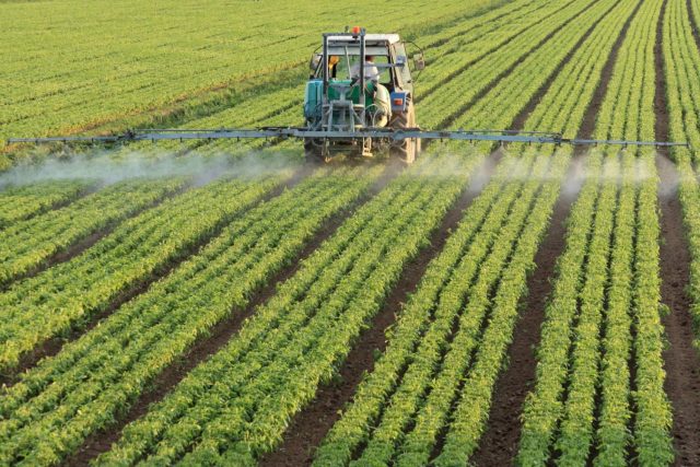 fertilizantes