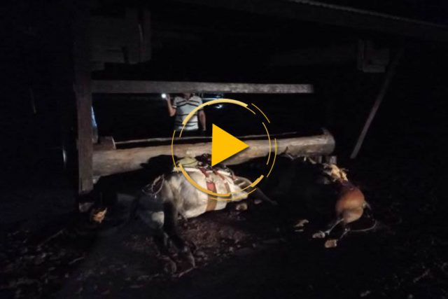 funcionarios morrem em fazenda
