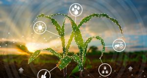 Como a inteligência artificial pode impulsionar o agronegócio?