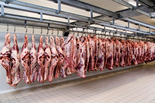 carne