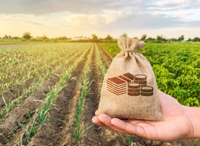 Insumos Agricolas