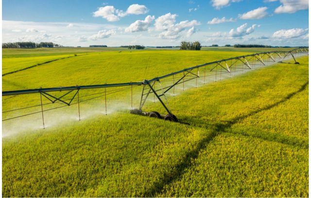 Tecnologia ajuda produtor a otimizar o uso dos insumos e ser eficiente na irrigação