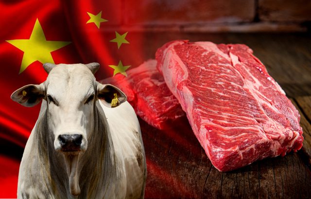 carne-vermelha-brasileira-vai-pra-china
