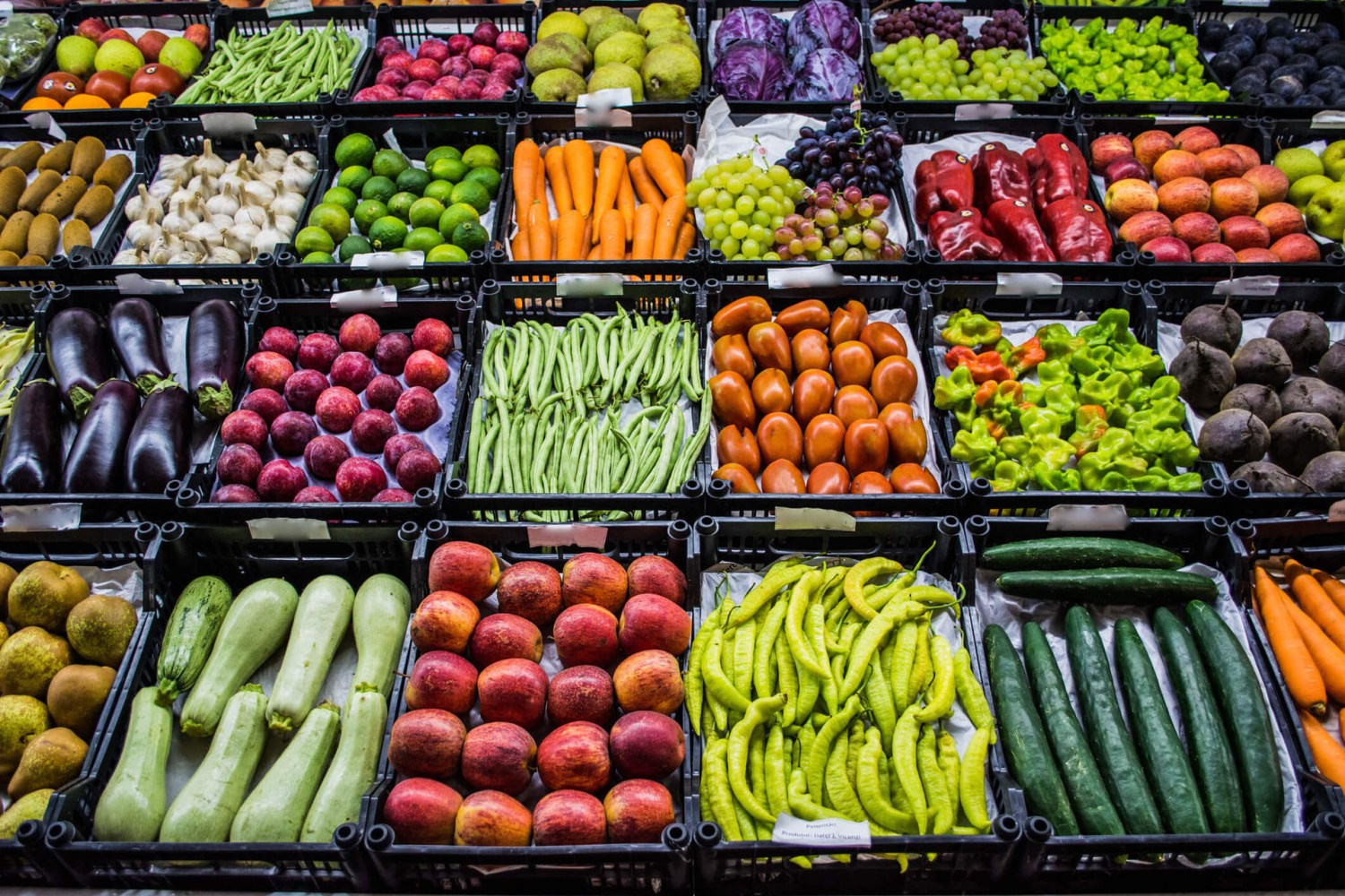 oferta de alimentos