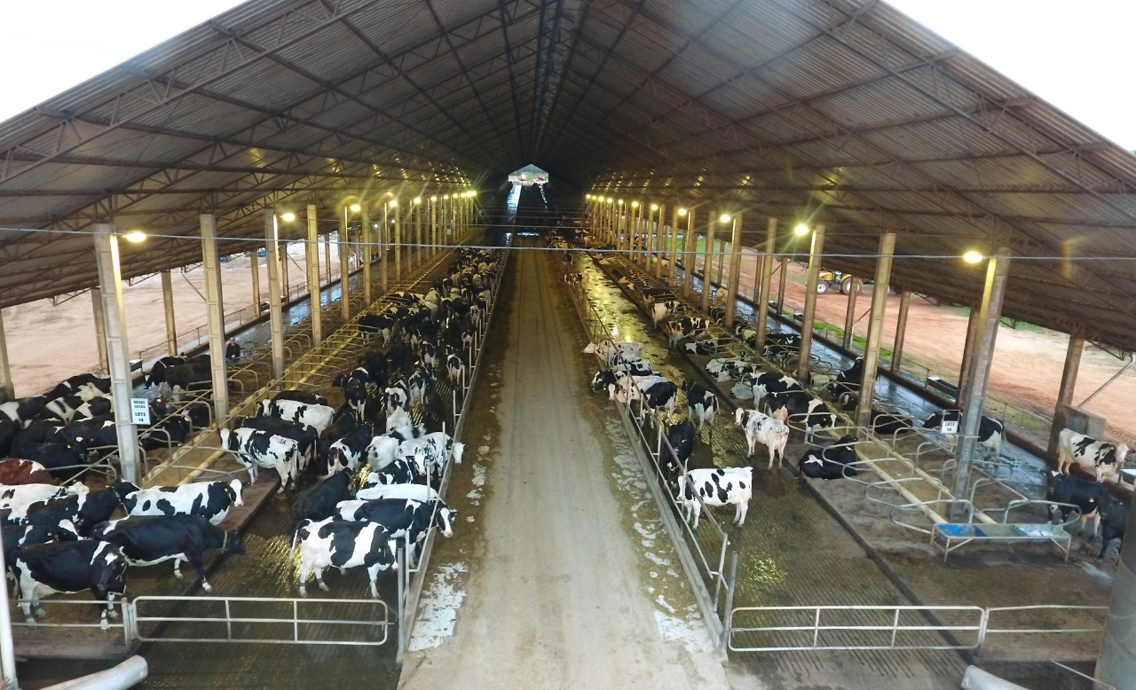 divulgação-semex-fazenda-melkstad