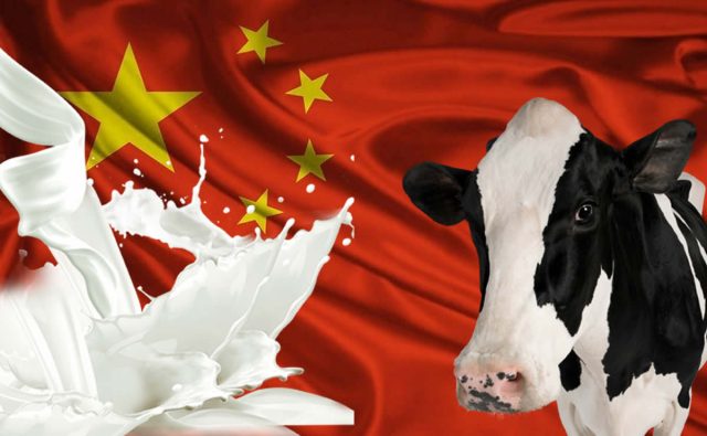 exportação de leite brasileiro para China