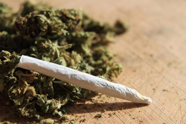 maconha