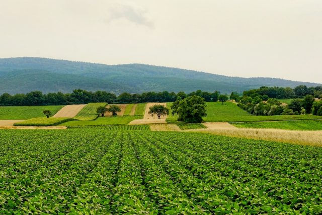 agriculturasustentavel