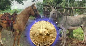 primeira fazenda aceitar bitcoin - cavalos