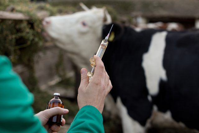 antimicrobianos