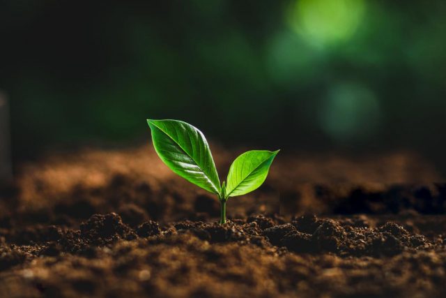 solo agricultura solo agricultura