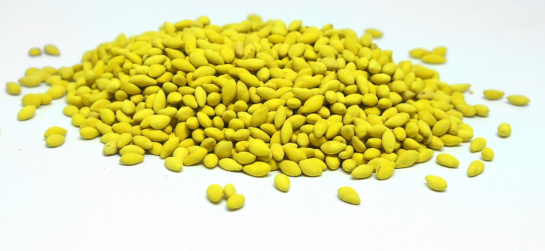 tecnologia-de-tratamento-de-sementes-de-pastagens-yellow-jacket