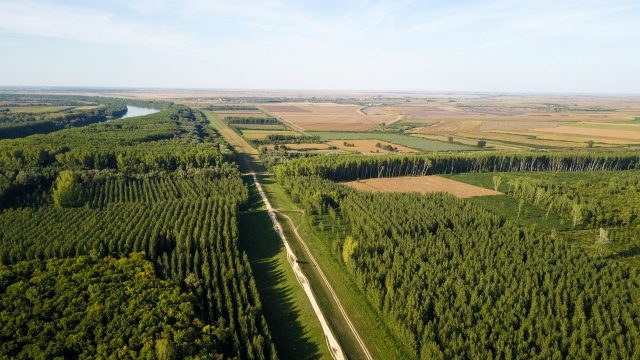 agrofloresta