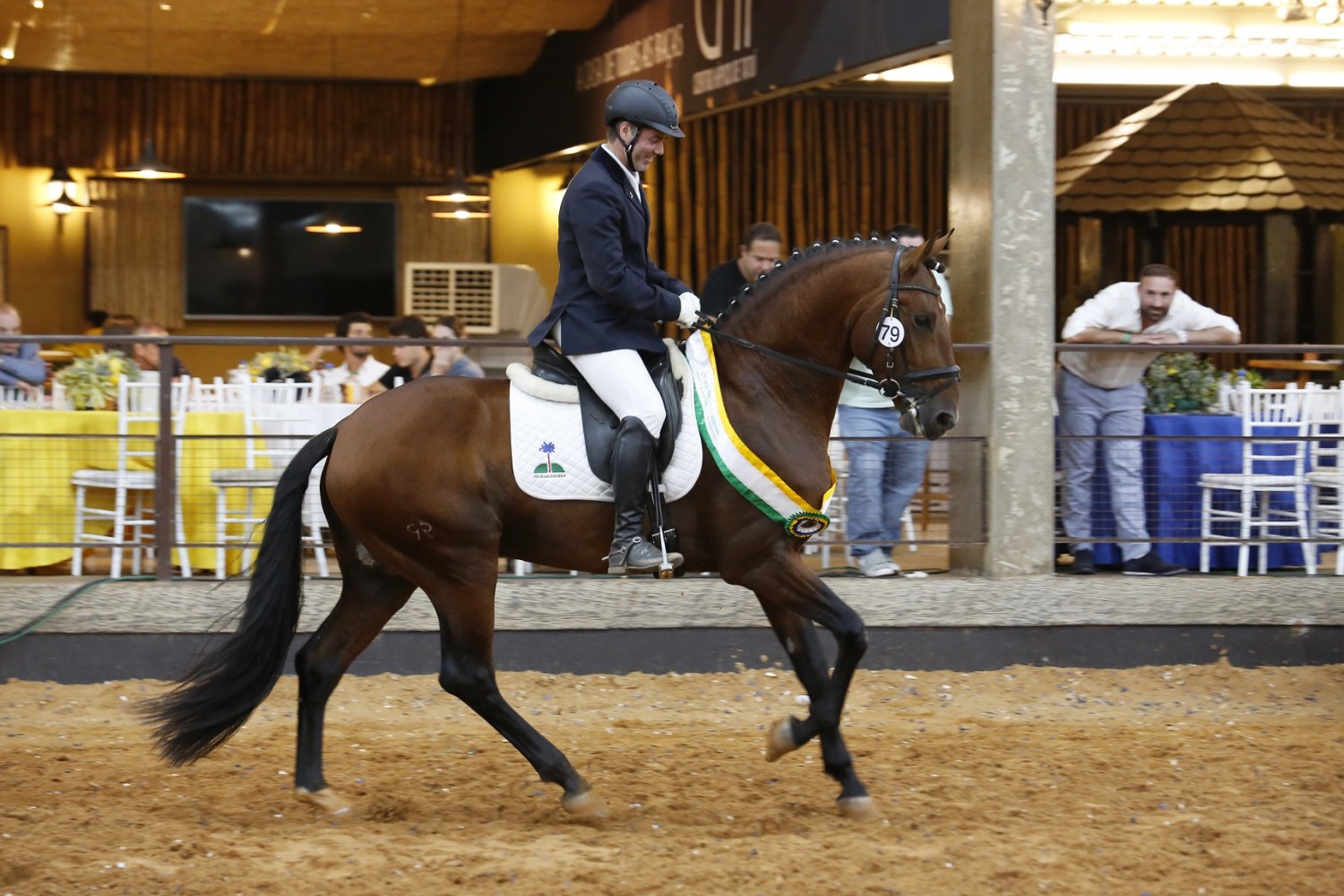 39ª Expo Lusitano F1b - Campeão dos Campeões _ Olimpo do Castanheiro