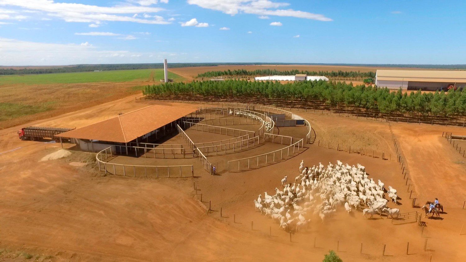 Fazenda-São-Geraldo-do-grupo-AGROJEM-abriga-um-dos-maiores-projetos-de-confinamento-de-bovinos-do-país.-