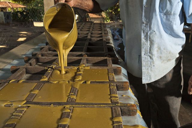 Colocando_rapadura_nos_moldes_de_madeira Foto: Divulgação