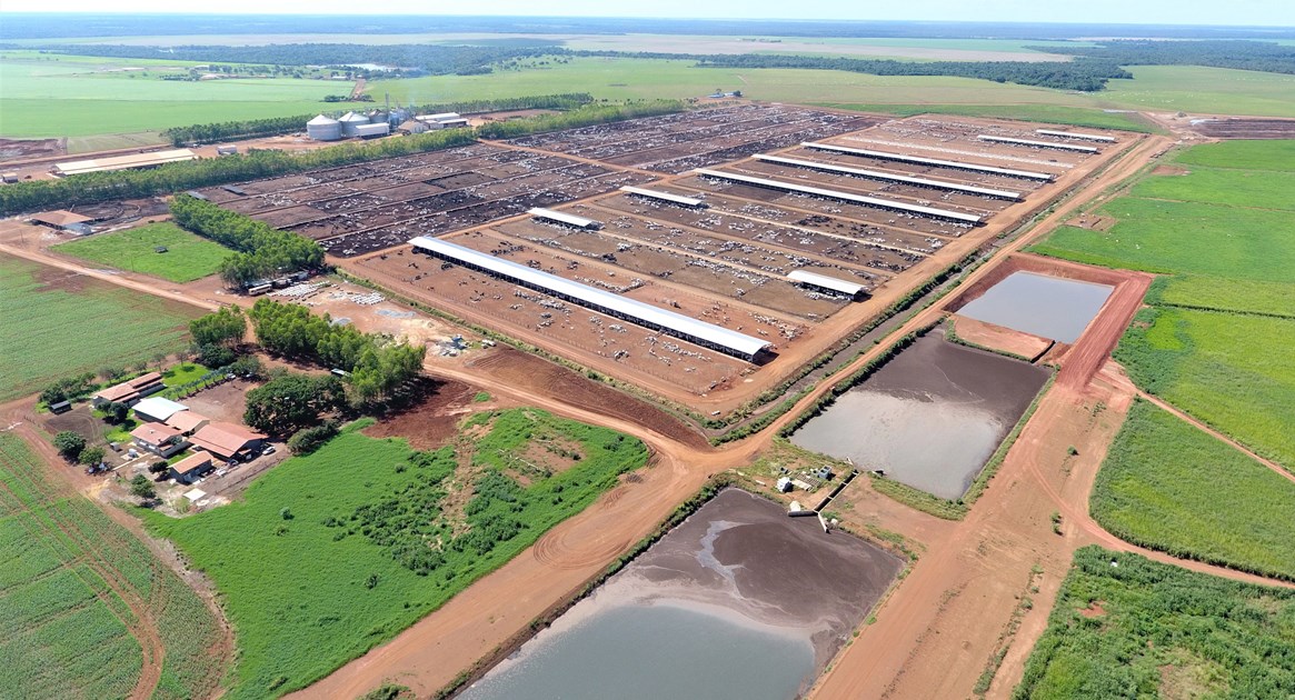 Fazenda-São-Geraldo-do-grupo-AGROJEM-abriga-um-dos-maiores-projetos-de-confinamento-de-bovinos-do-país.-