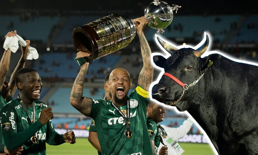 Felipe Melo celebra título do Palmeiras com carne de Wagyu