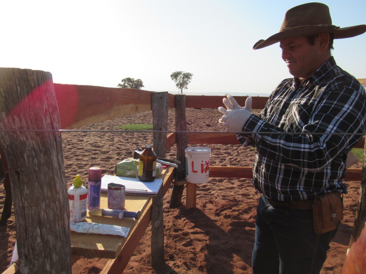 Projeto -Redução da Marca a Fogo- começa a colher frutos no país