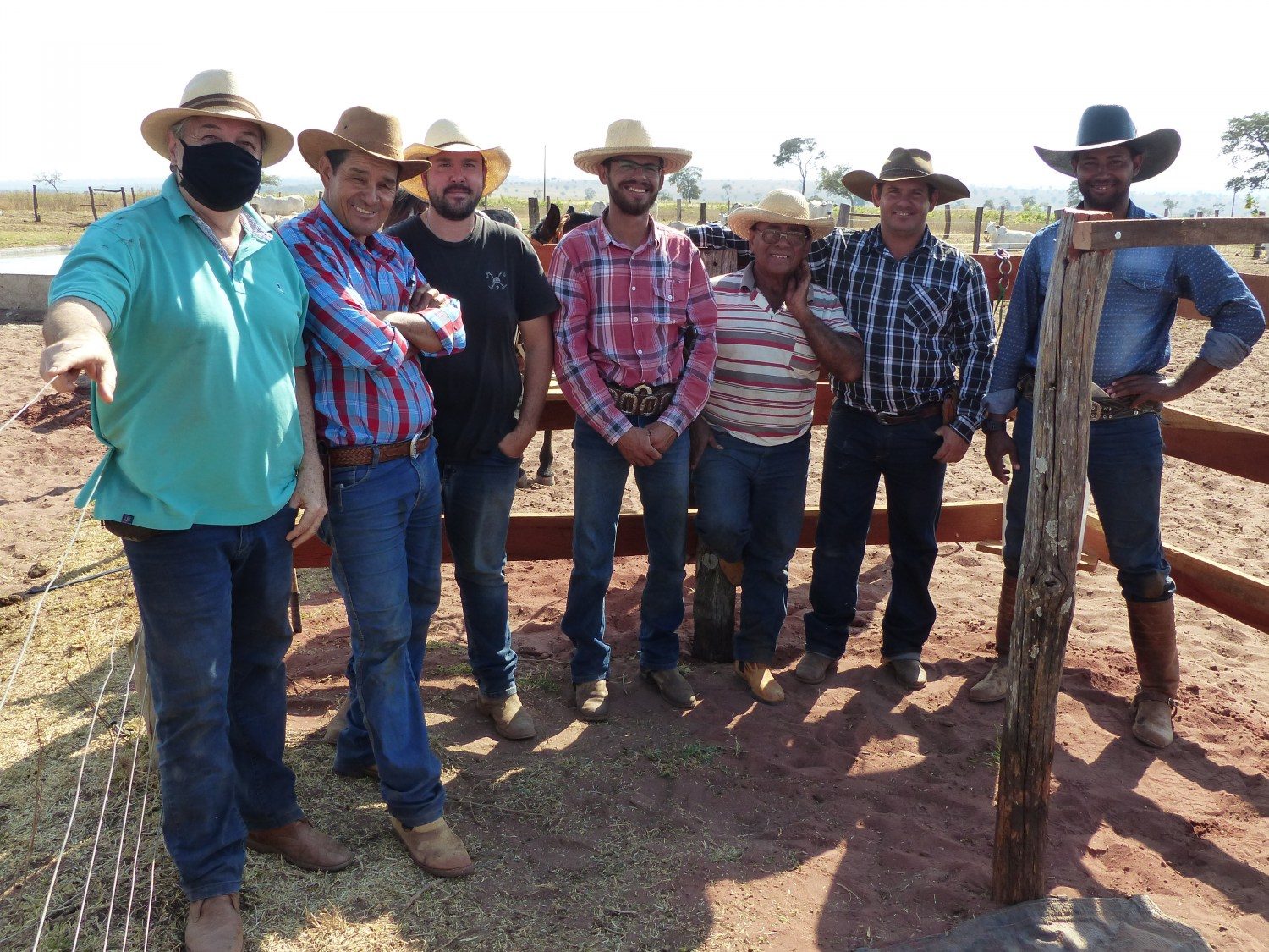 Projeto -Redução da Marca a Fogo- começa a colher frutos no país