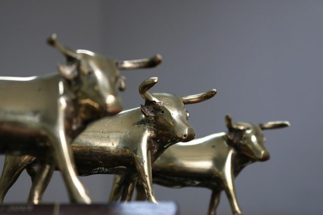 Touro-de-Ouro-BovExo