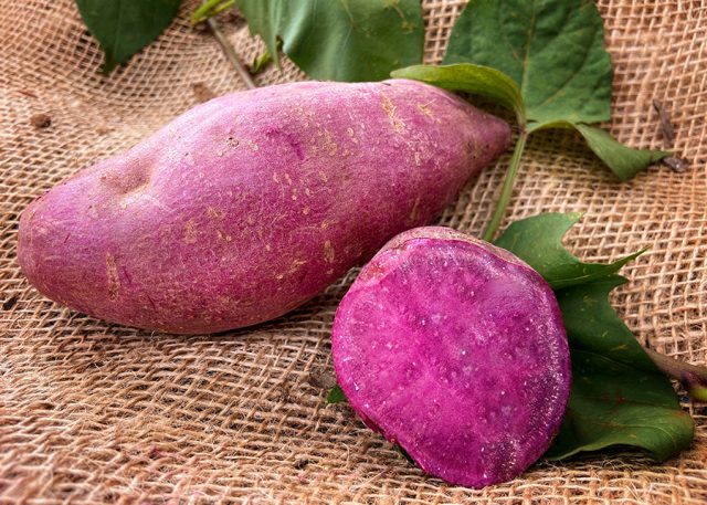 batata-doce2 foto divulgação