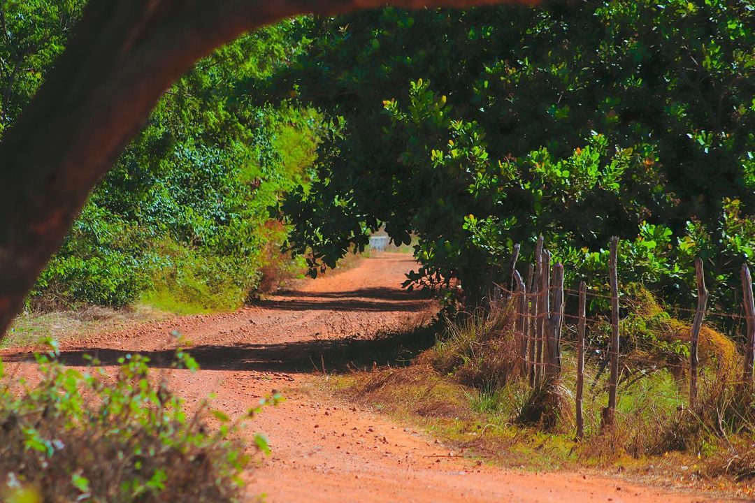 foto de estrada rural