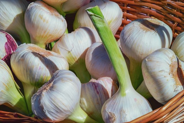 garlic-alho-pixabay foto divulgação