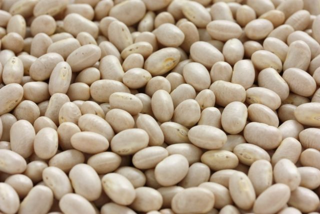 navy-beans - feijao IAC navy-beans - feijao IAC