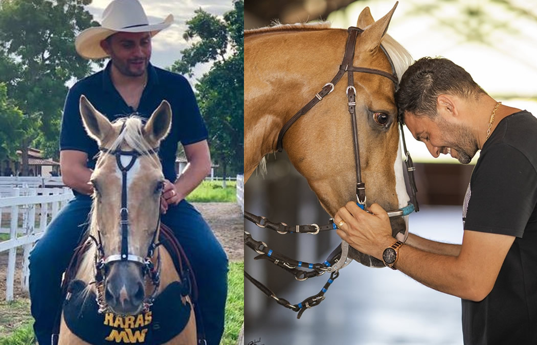 Vaquejada em 2023  Fotos de cavalos, Égua quarto de milha, Imagens de  vaqueiro