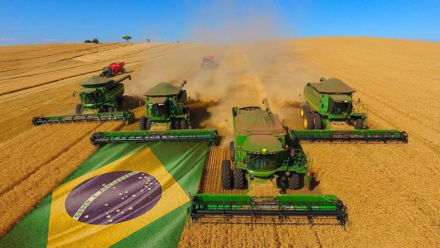 soja brasileira sendo colhida soja brasileira sendo colhida