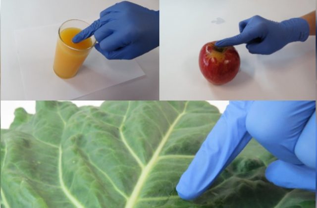 202201-luva-pesticidas-analise