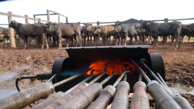 marcação a fogo