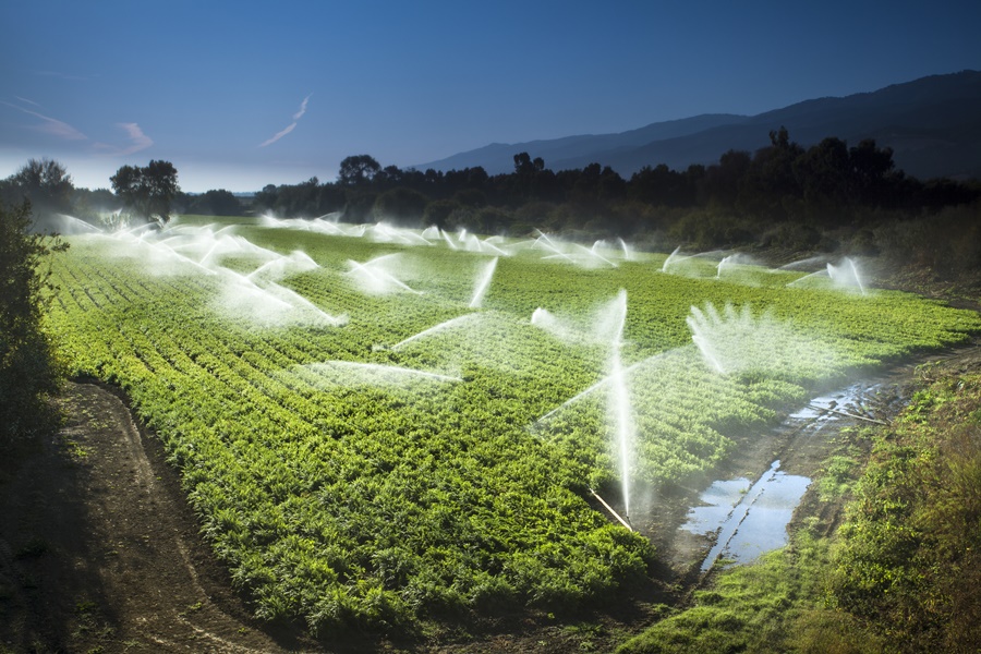 Com La Niña, Agricultura deve distribuir água com eficiência