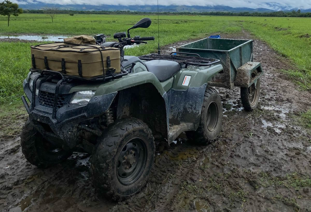 Quadriciclos viram febre e são usados na Pecuária e Agricultura 1